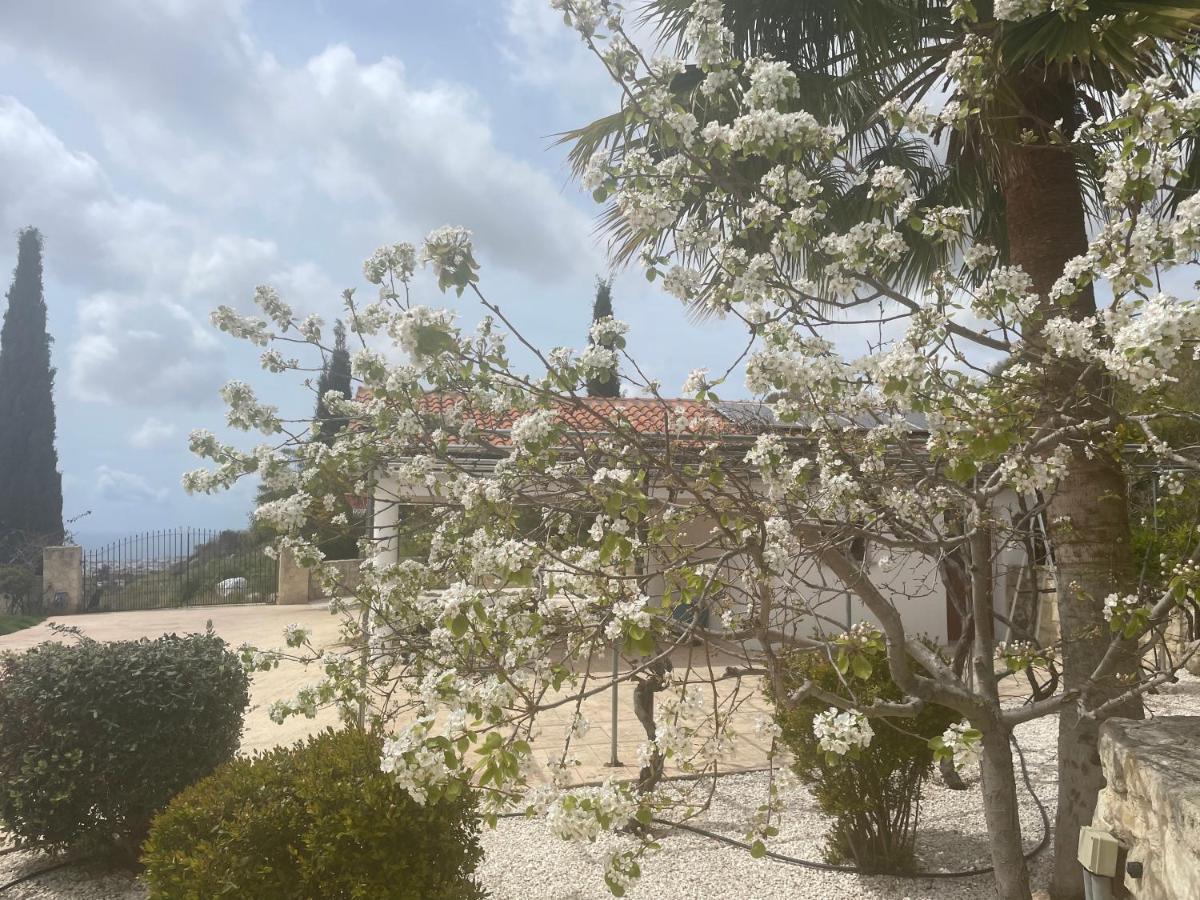 Beautiful Home Pafos Zewnętrze zdjęcie