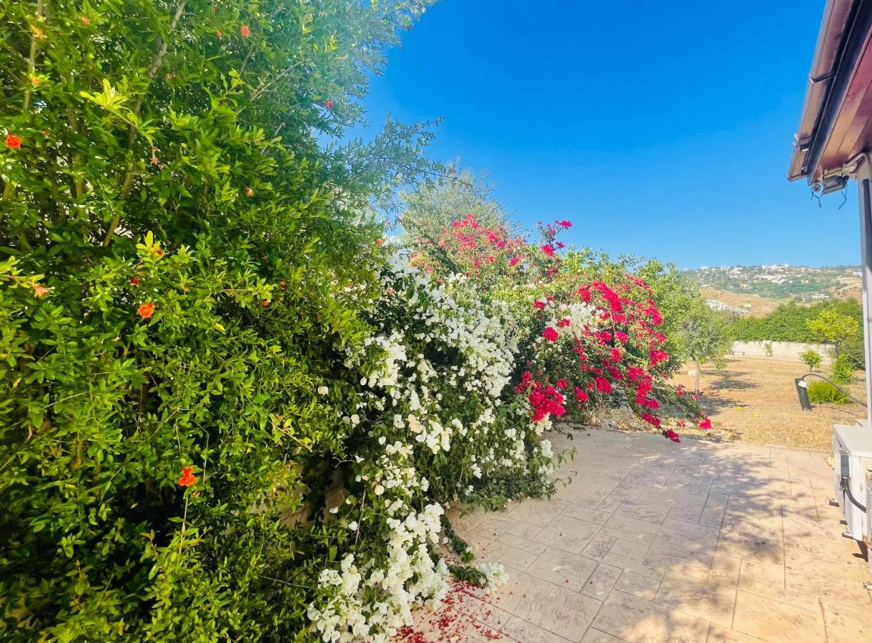 Beautiful Home Pafos Zewnętrze zdjęcie
